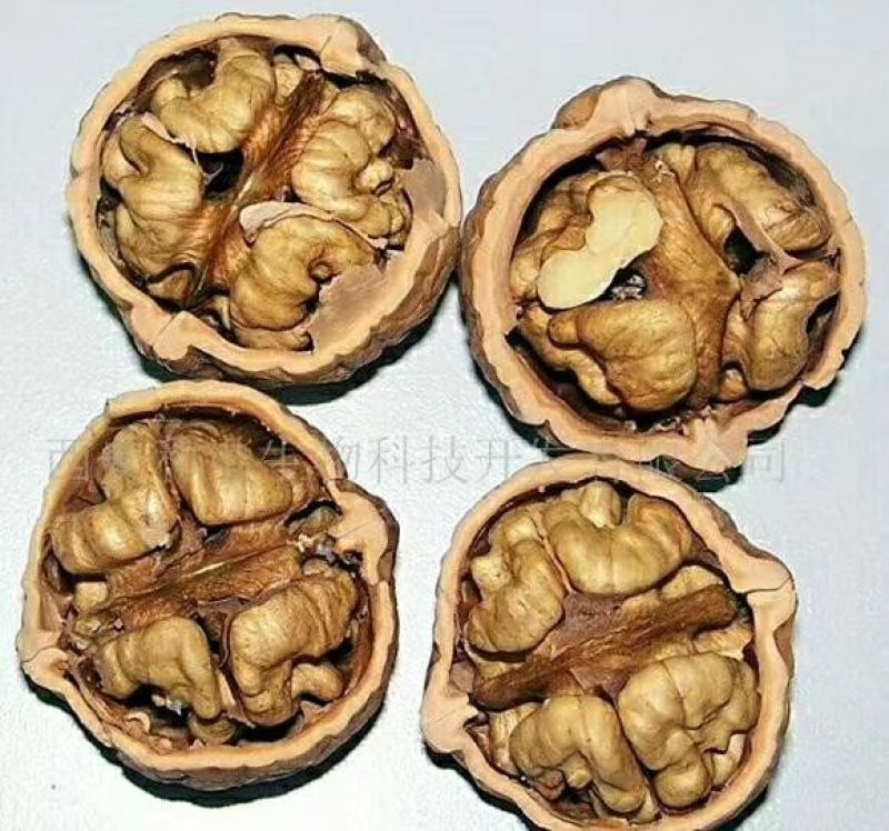 薄皮核桃去皮30mm以上干