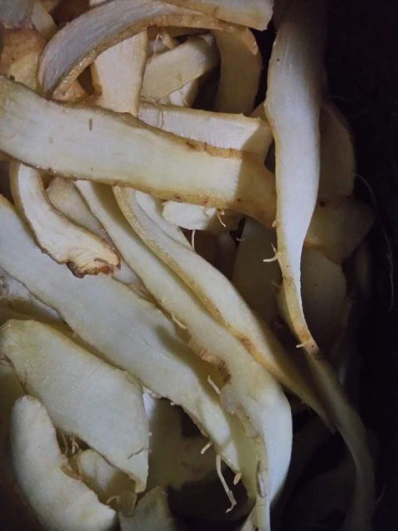 玉竹干