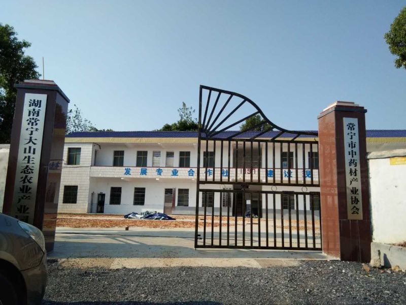 玉竹干