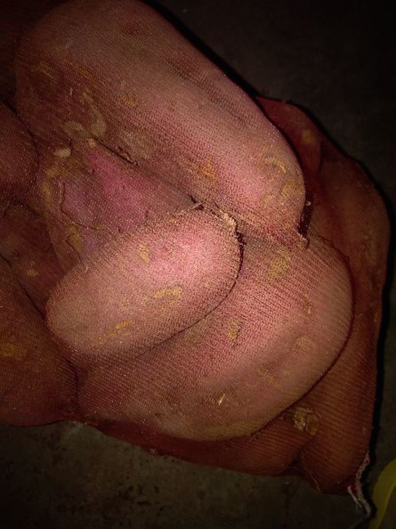 红薯淀粉散装