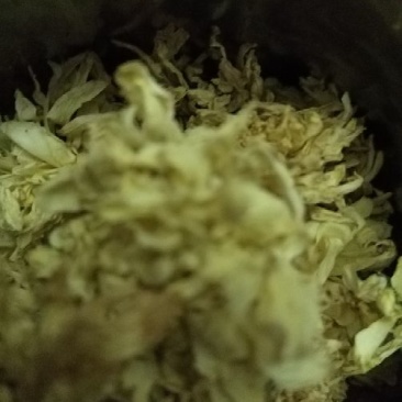 药用菊花散装