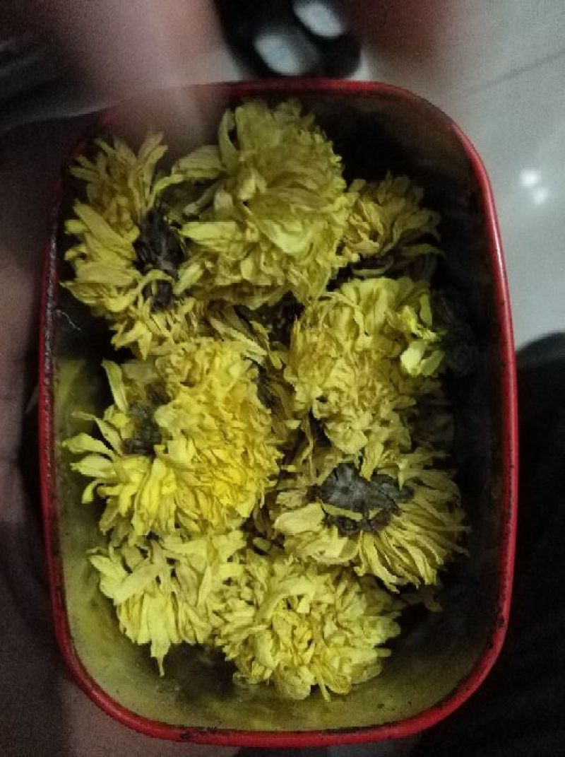 药用菊花散装