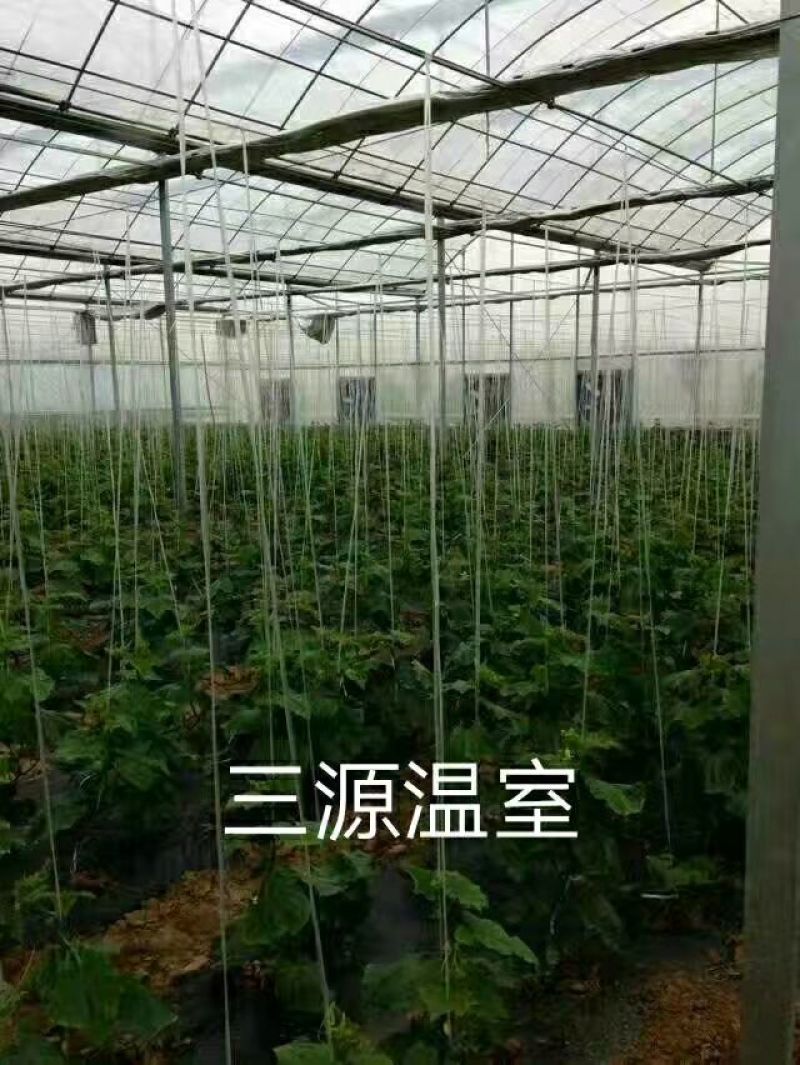 温室大棚系列热镀锌