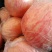 红富士苹果80mm以上纸+膜袋快递一件发货