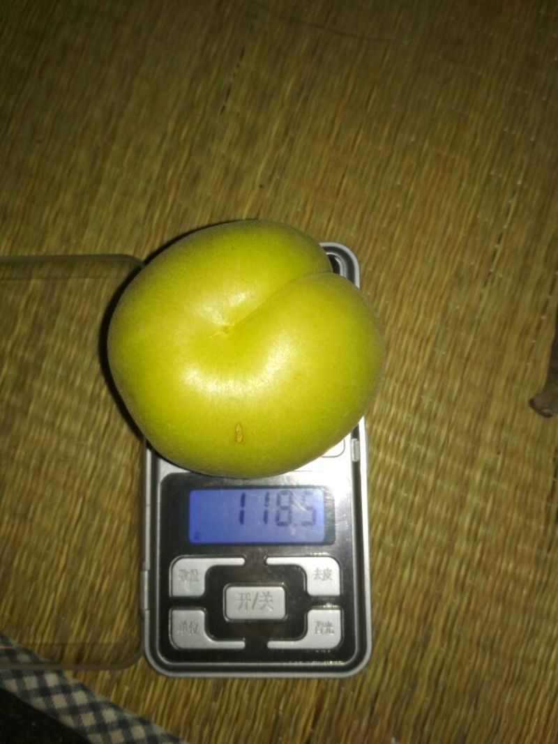 香白杏表面干净口感好什么品质都有