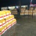 精品韮苔30一35cm产地直发一手货源量大从优欢迎采购