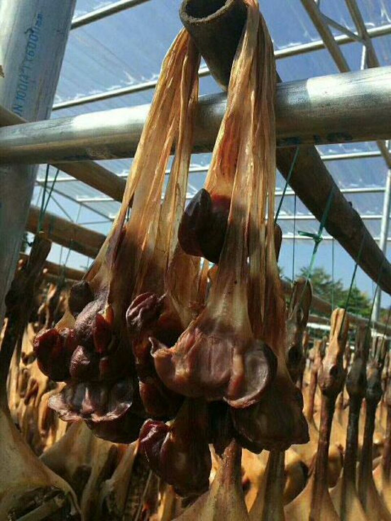 腊鸭