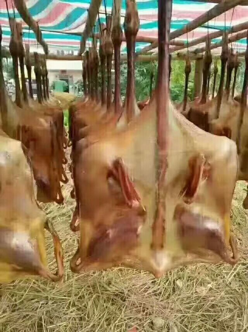 腊鸭