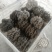 灰平菇厚3~5cm黑色