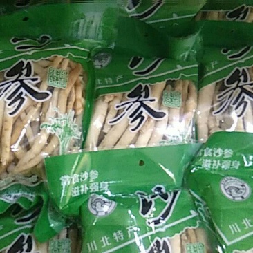 川明参