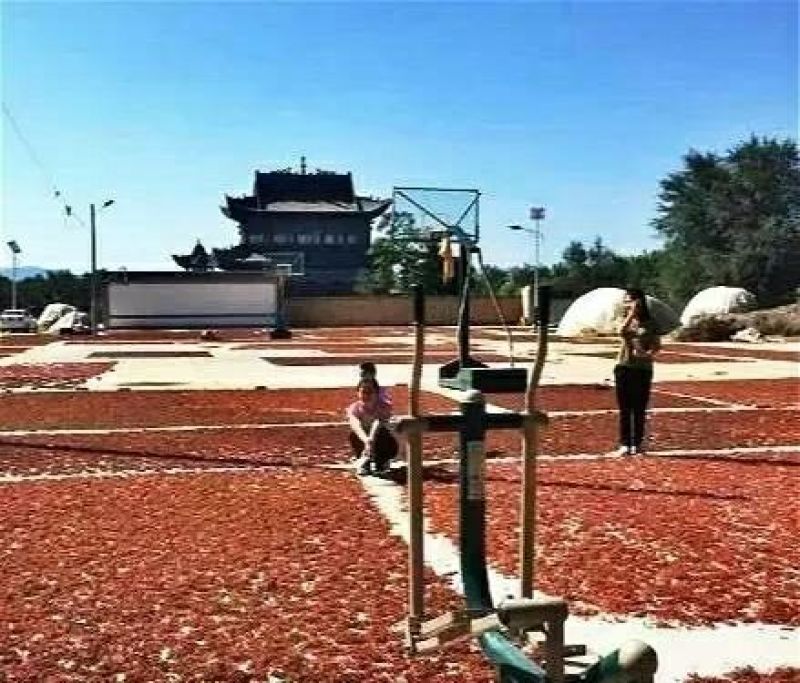 大红袍花椒一级干