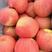 红富士苹果产地直销，价格合理，保质保量，常年供应