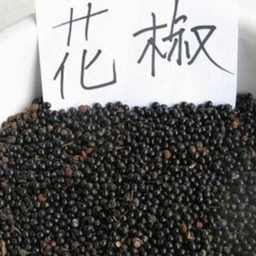 花椒种子