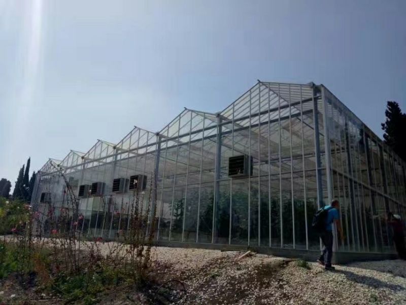温室大棚镀锌管大棚