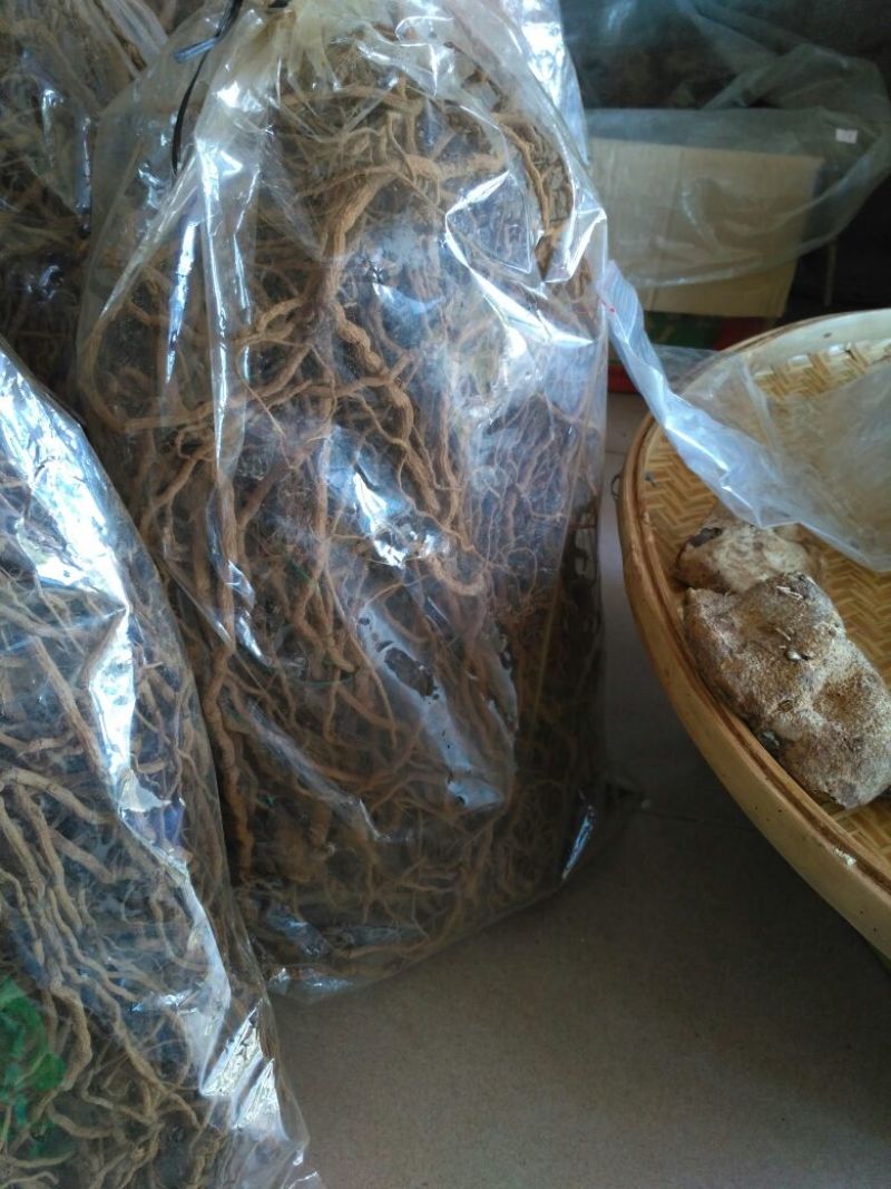 胡椒根