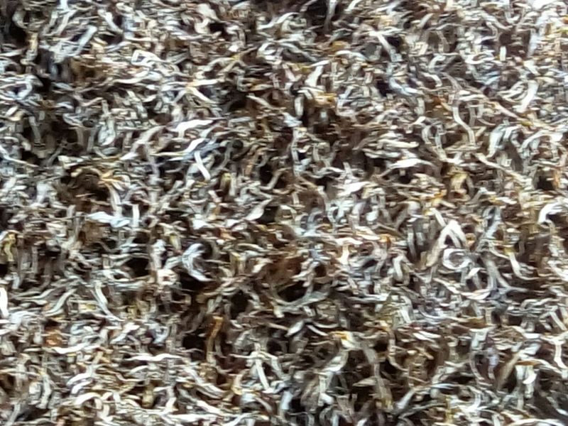 普洱茶三级