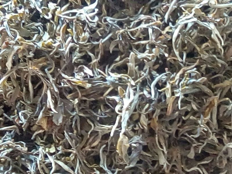 普洱茶三级