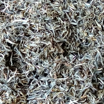 普洱茶三级
