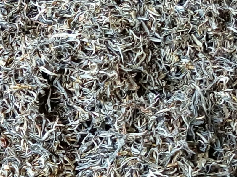 普洱茶三级