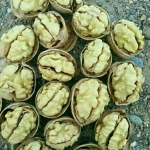 薄皮核桃去皮30mm以上干