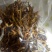 黄花菜袋装一级