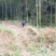 黄泥冬笋井冈山深山黄泥冬笋，