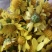 野菊花袋装