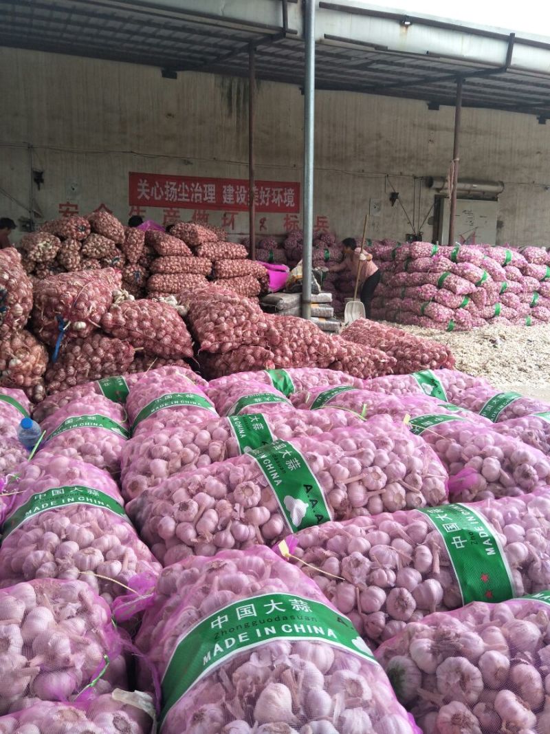 【万亩基地】精品大蒜扒米大量上市一手货源全国发货
