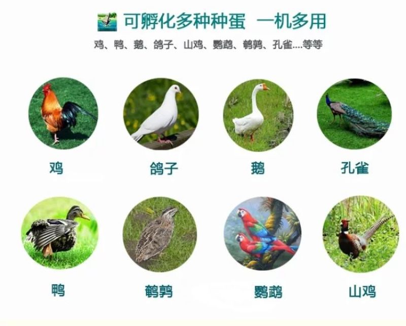 孵化设备全自动孵化机专用家用小型u型o形加热管加湿管加热