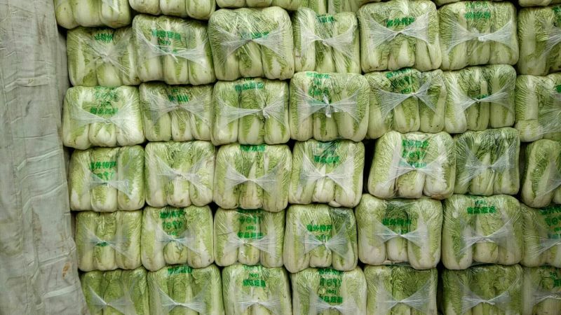 【春节特惠】大白菜北京3号白菜包装齐全直供商超代理