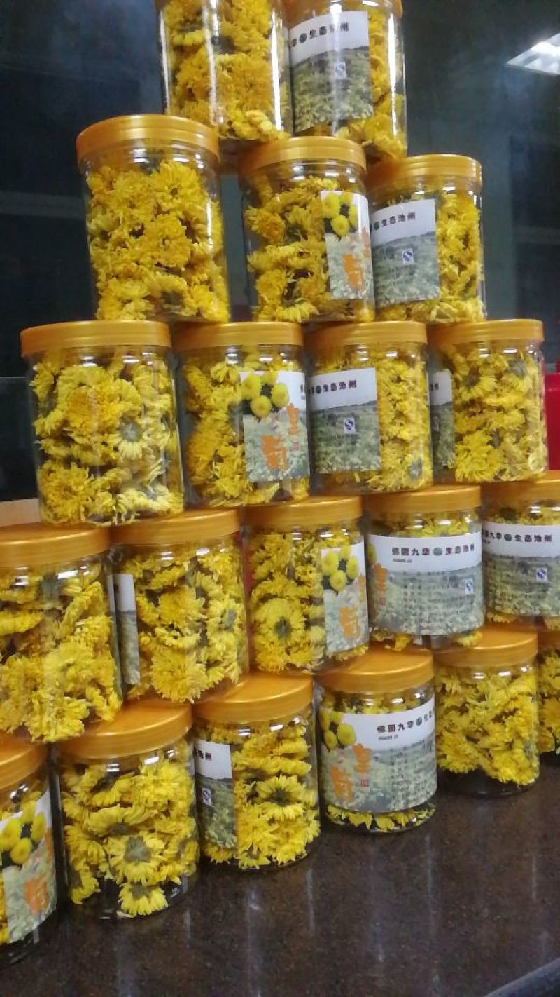 菊花茶一级