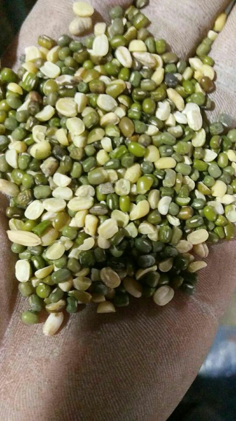 豆瓣
