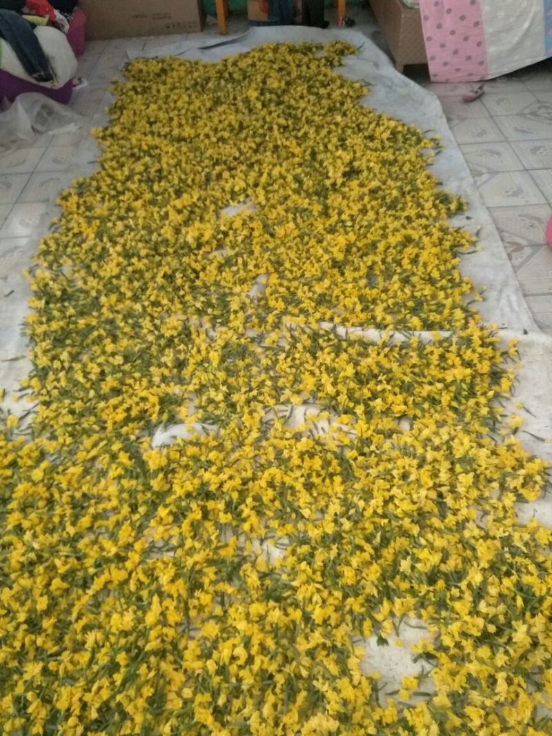 小黄瓜鲜花带刺18公分以下新鲜水分小量大价优