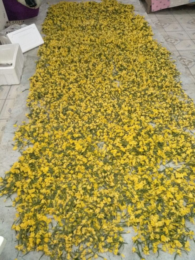 小黄瓜鲜花带刺18公分以下新鲜水分小量大价优