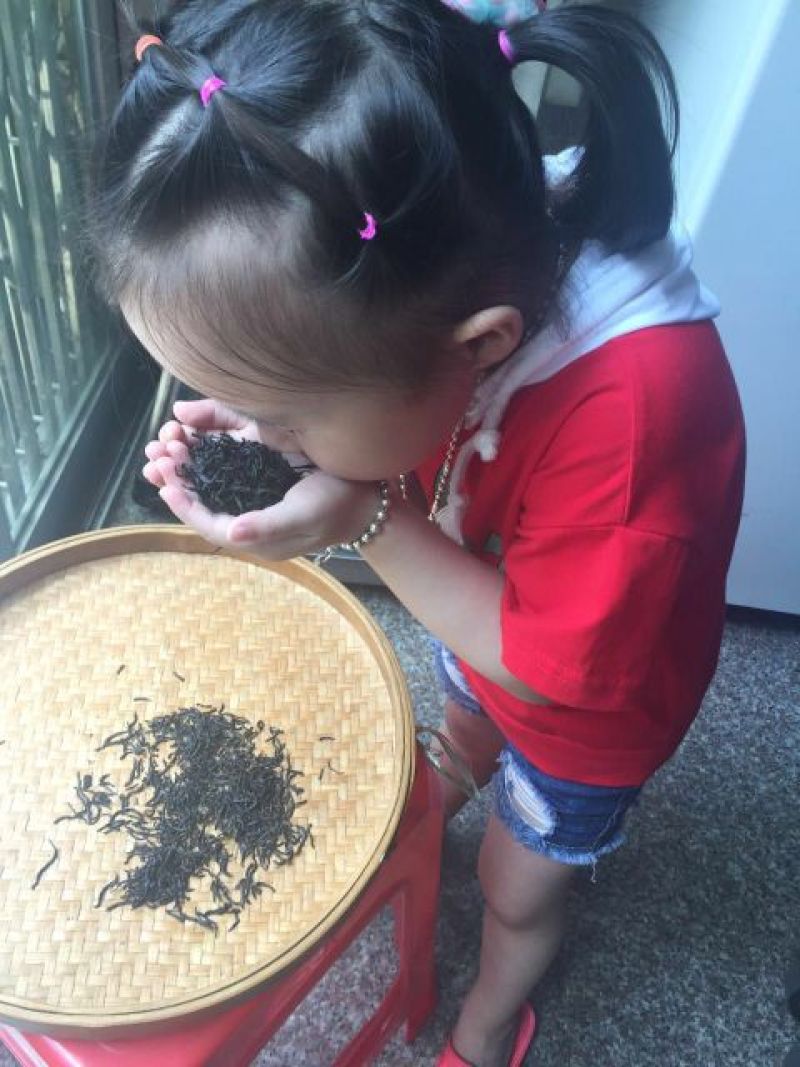 正山小种茶农亏本批发特价红茶原味浓香封口袋包邮