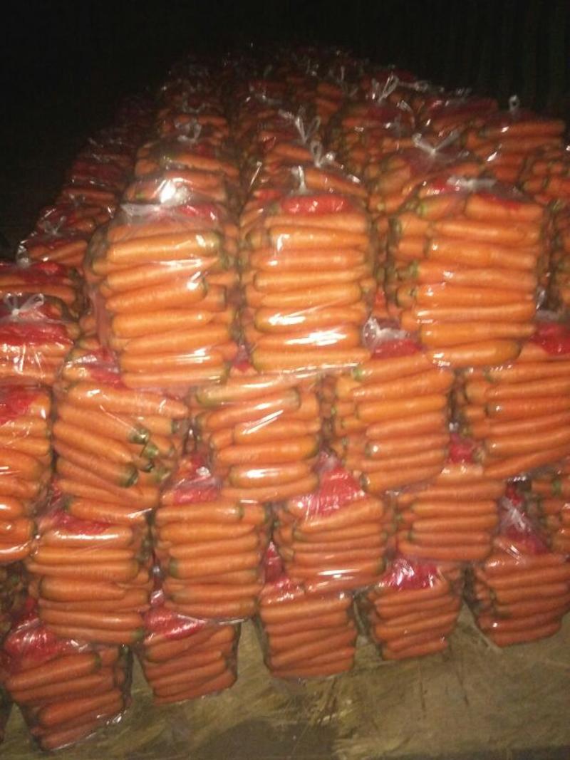 长条三红胡萝卜，场地现货，15厘米2量重，大量出售中