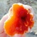 柿饼陕西富平柿饼1-2两
