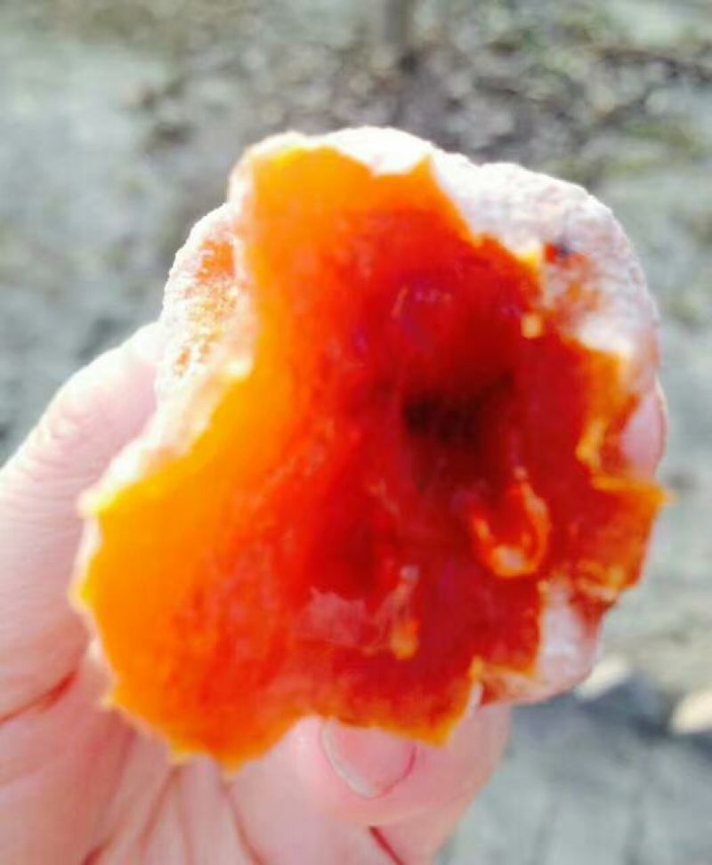 柿饼陕西富平柿饼1-2两