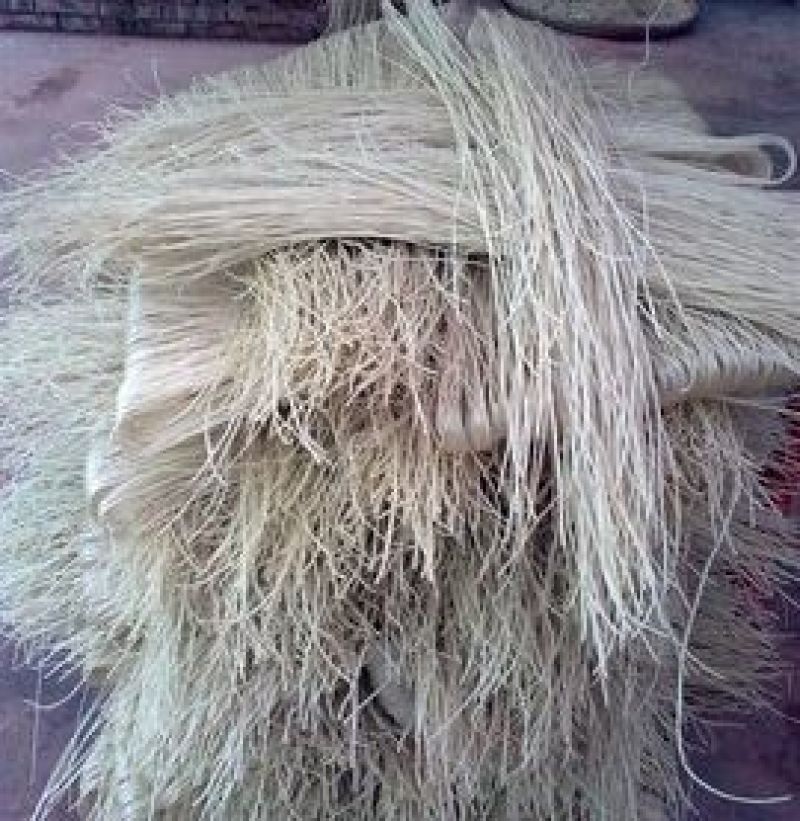 红薯粉条中粉