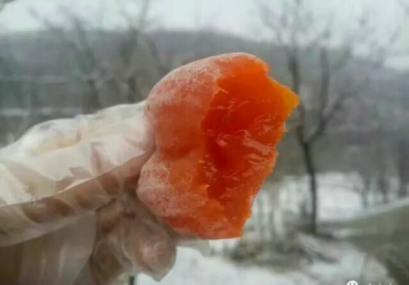 柿饼1两以下