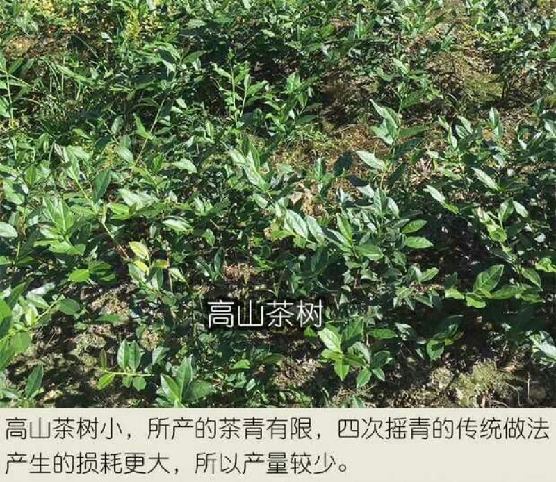 铁观音高山特级兰花韵250g/盒2盒共500g包邮