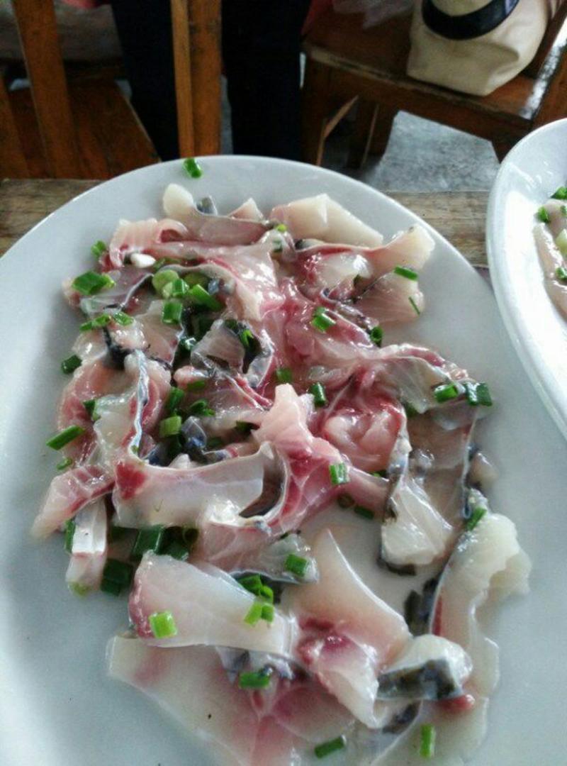 脆肉鲩1.5~6公斤人工养殖食用活鱼