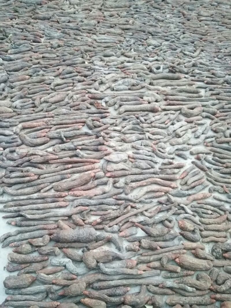 锁阳选货