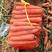 三红胡萝卜带土3两以上15厘米以上红