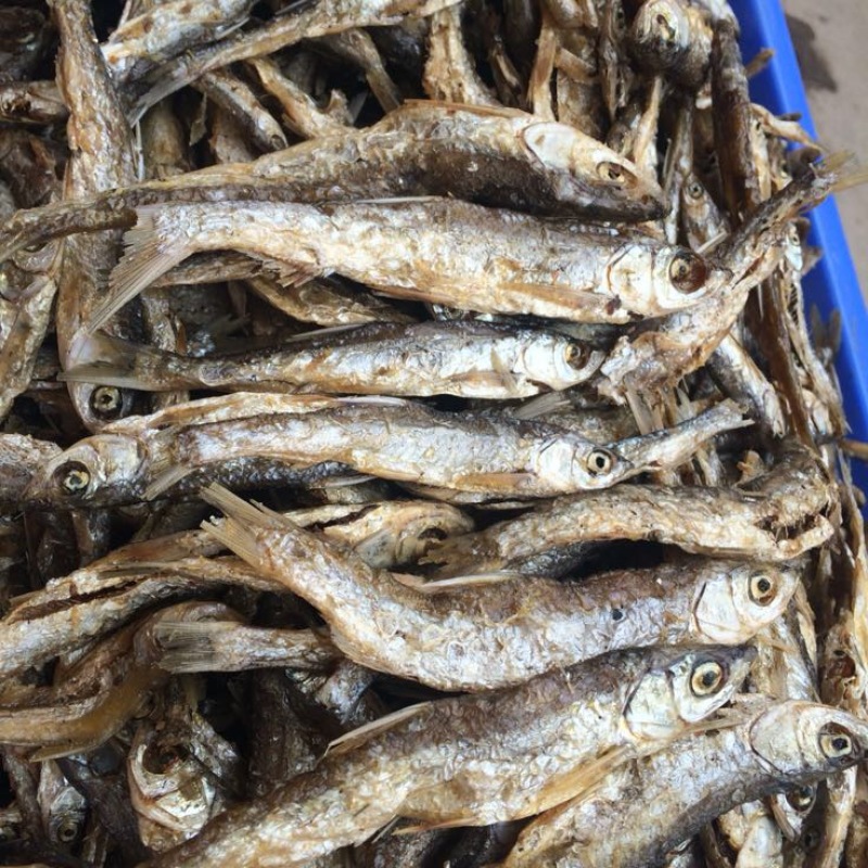 10公分左右开肚鱼干炸鱼开肚鱼干，原汁原味无添加