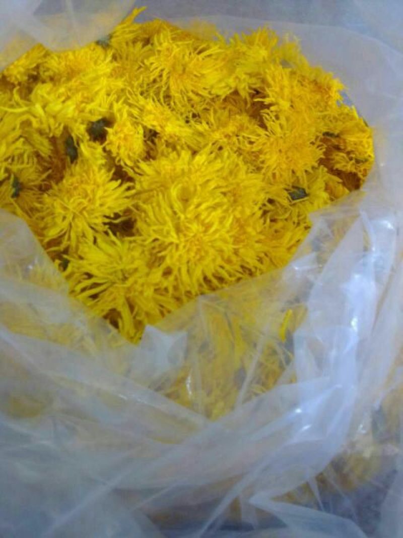 金丝皇菊茶二级