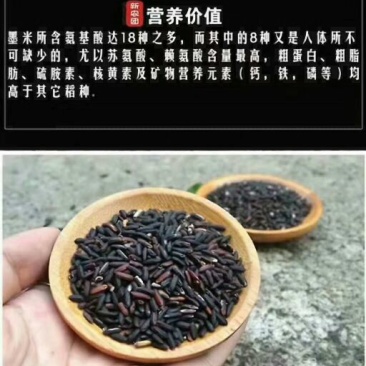 黑糯米散装