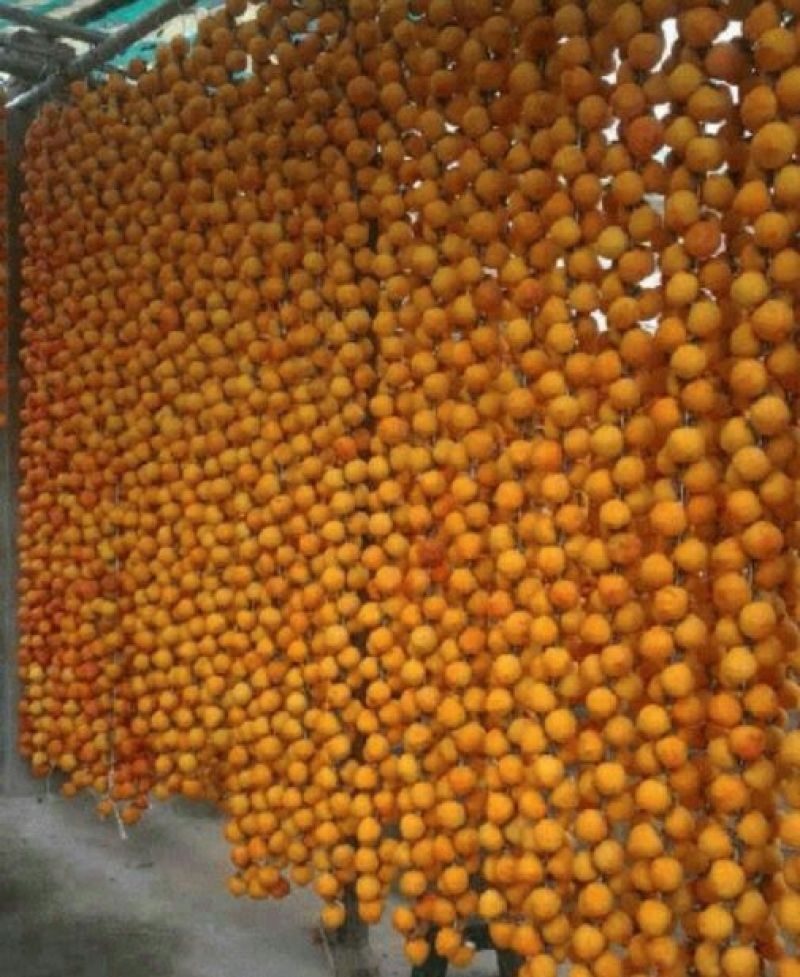 柿饼1~2两