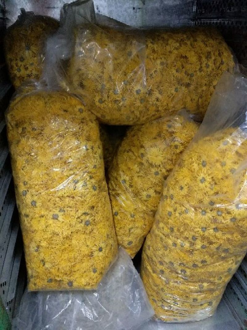 金丝皇菊茶特级