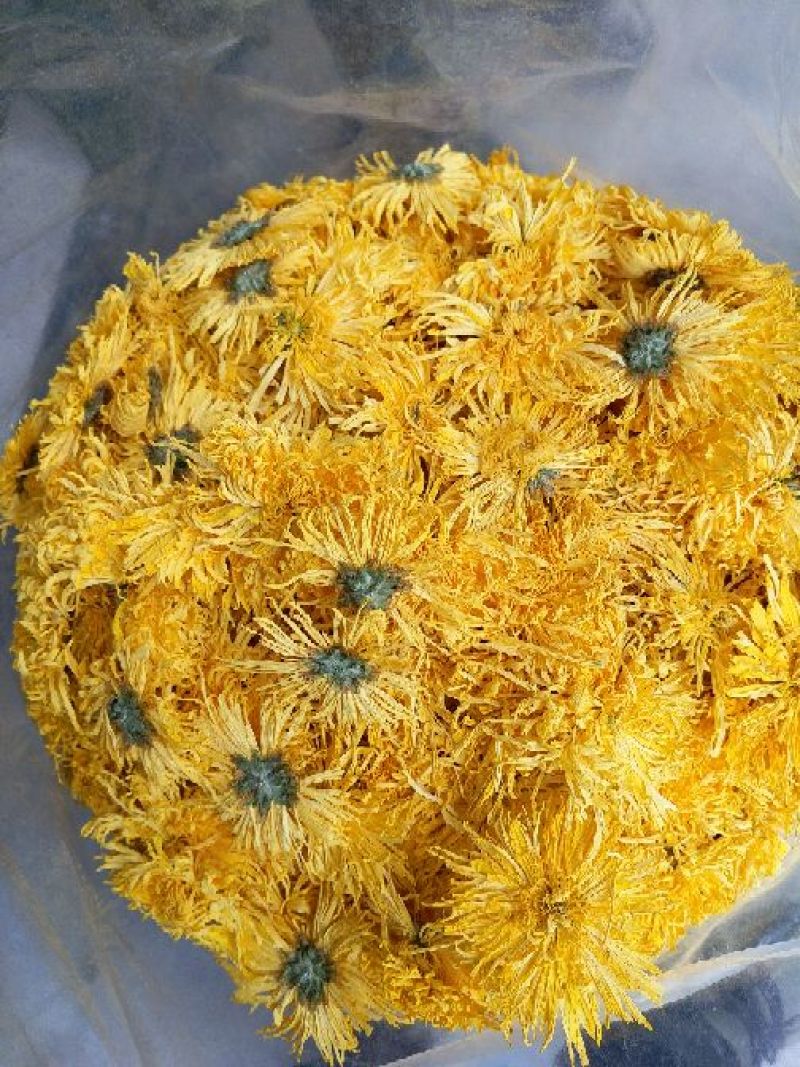 金丝皇菊茶特级